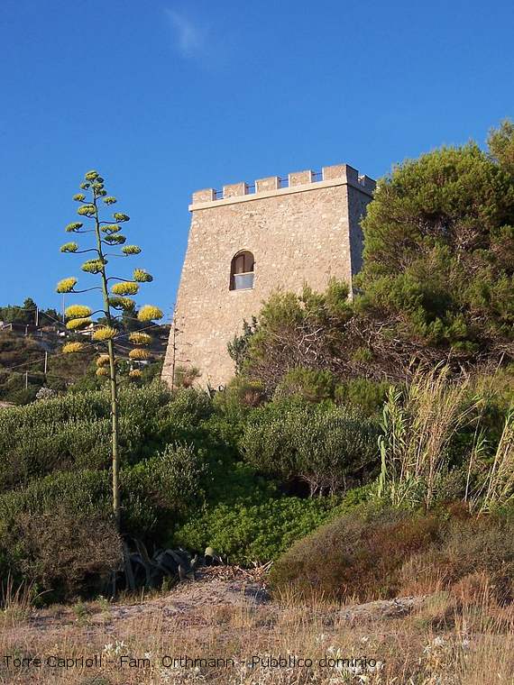 Cilento, escursione a Torre Caprioli
