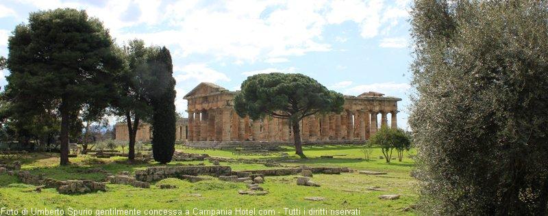 The Temples of Paestum 